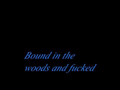 bound and fucked in the woods