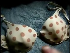 cum on polka dot bra (no audio)