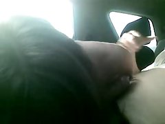 Amateur blowjob in the car