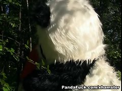 Little Red Riding Hood fucking with Panda in the wood